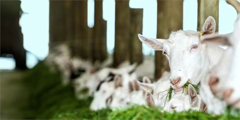 質(zhì)量追溯 質(zhì)量追溯